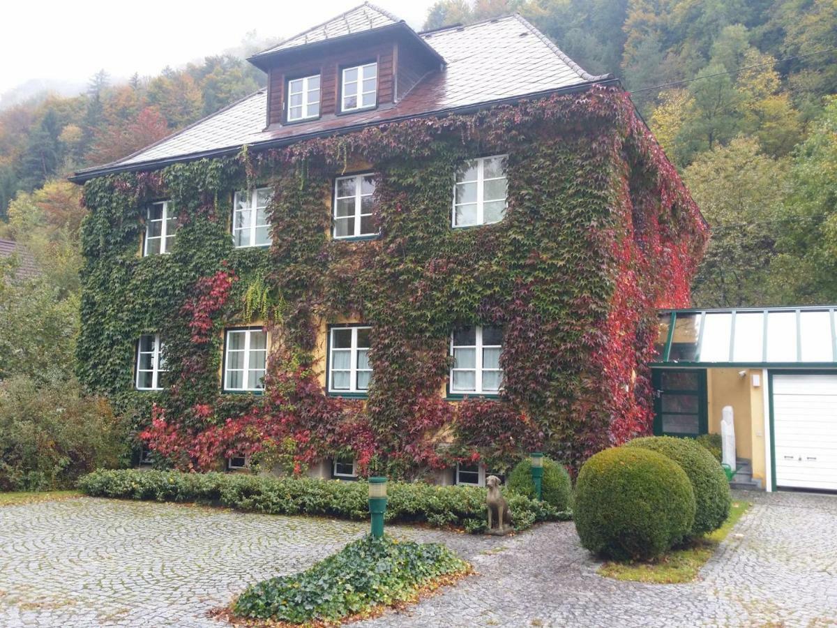 Gaestehaus Grogger Weyer Markt Exteriér fotografie